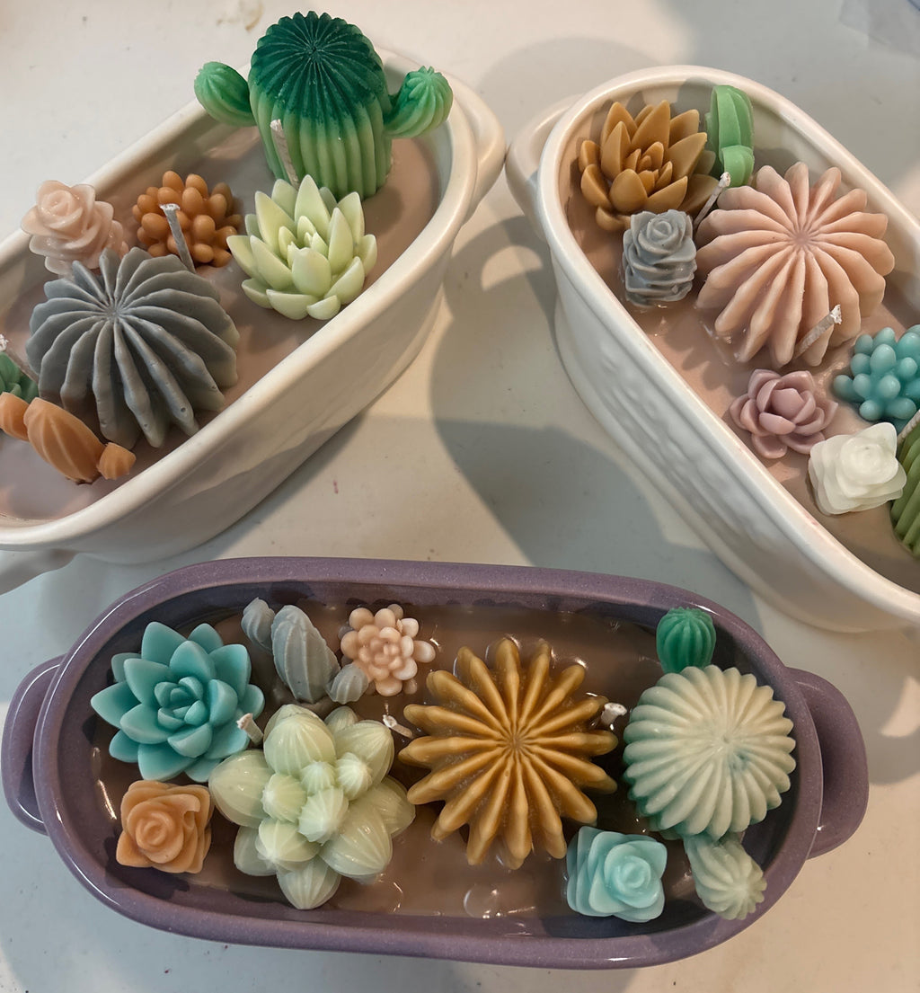 Terrario en tina de cerámica
